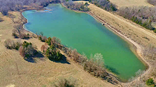 caney creek pond1.jpg (299075 bytes)