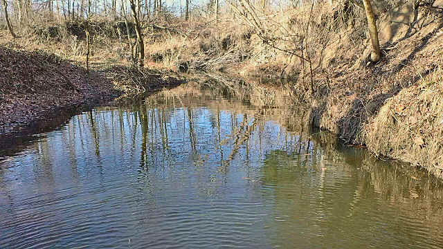 caney creek pond3.jpg (334605 bytes)