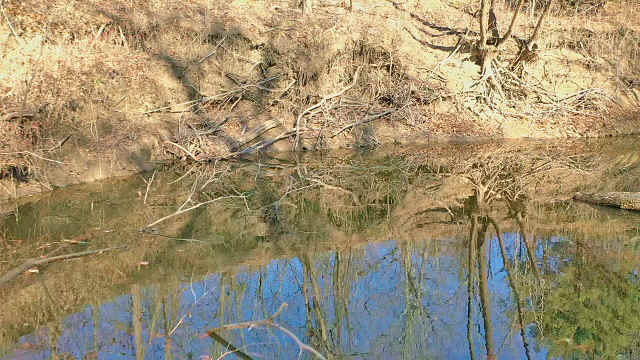caney creek pond4.jpg (320965 bytes)